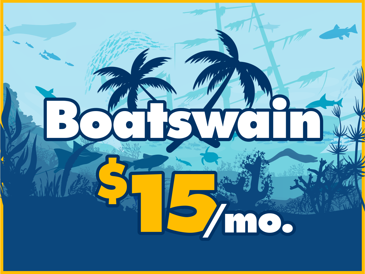 Jay's Way Etsy Shop Project