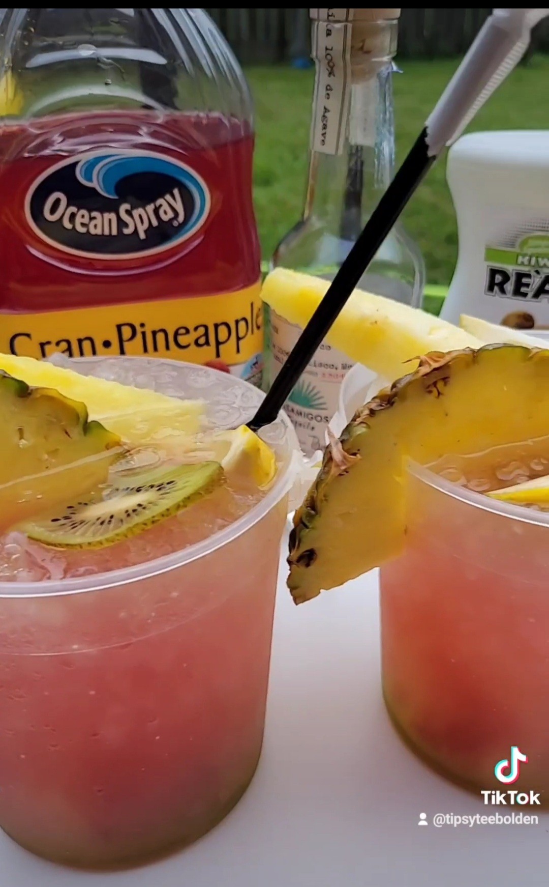 Pineapple Kiwi Lemonade TipsyTeesLLC