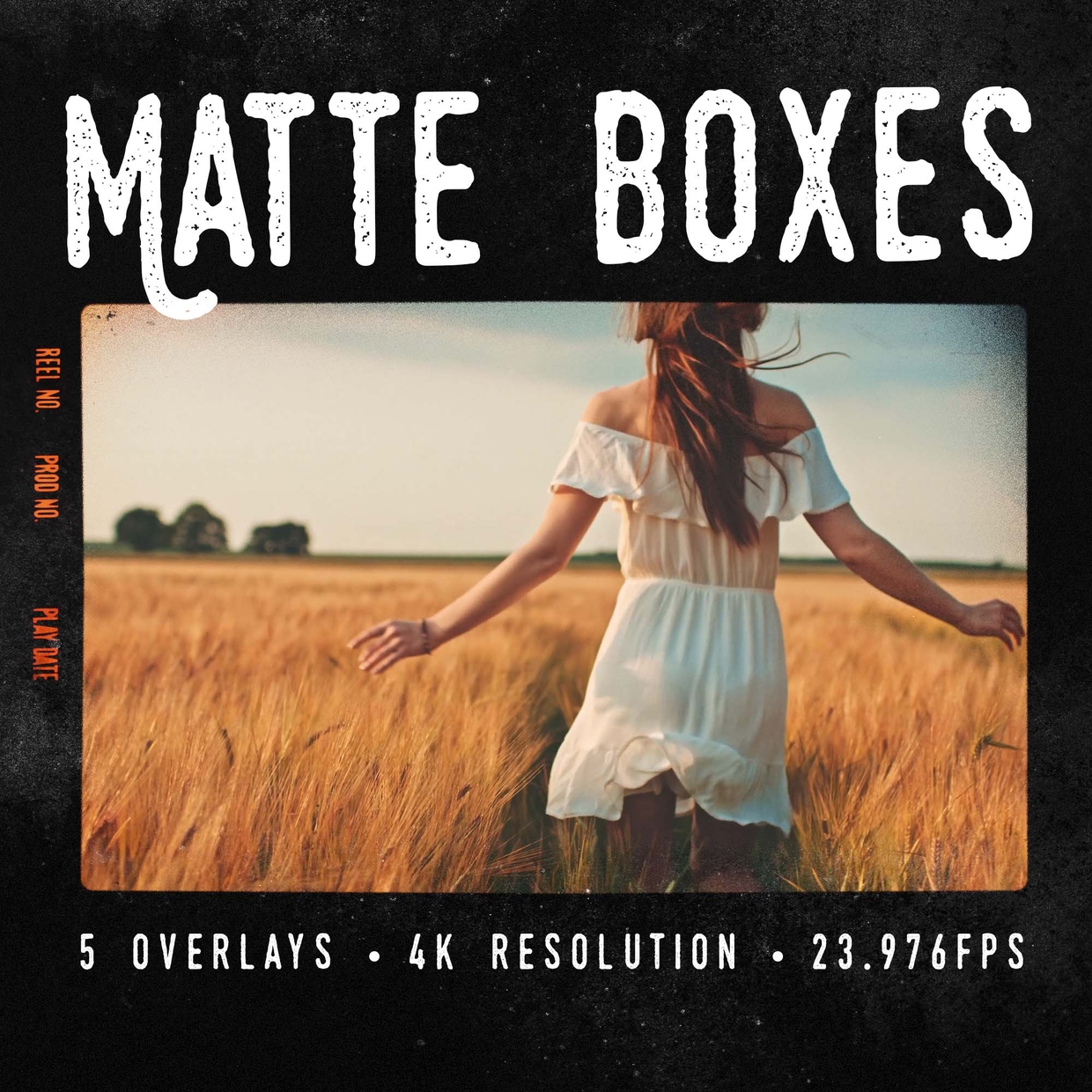 Professional Matte Boxes Think Make Push