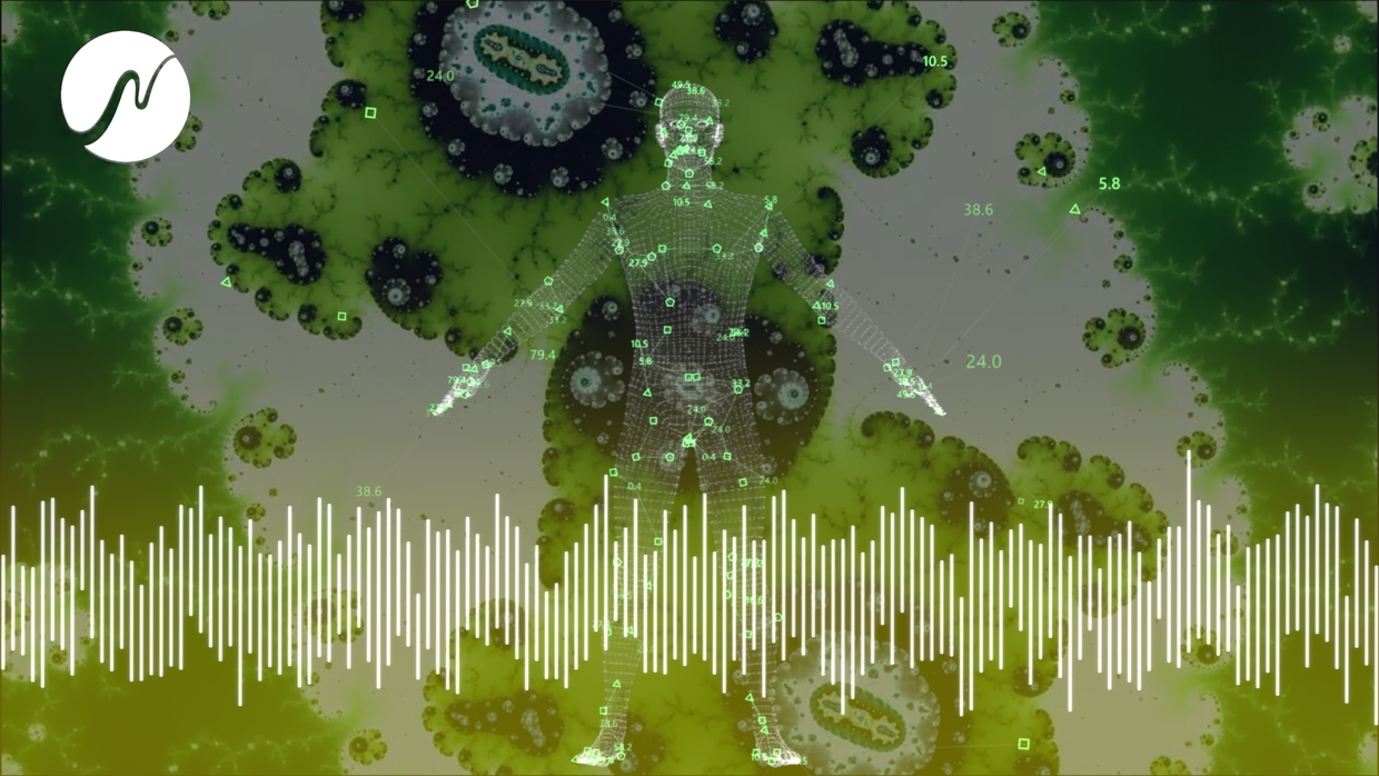 Optimization Of Vitamin B1 Levels For More Energy And neowake Store