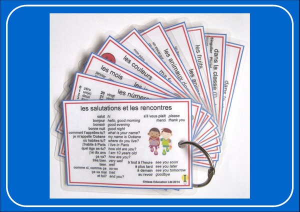 French Pocket Cards - set 1