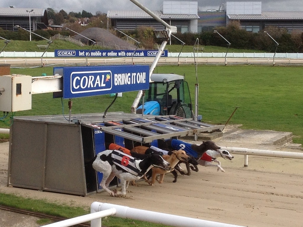 27 January 2016 Hove Hove Videos