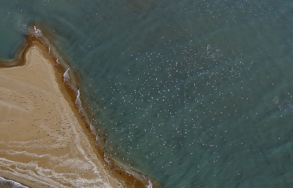 Sandbar Gulf of Carpentaria Queensland, Australia Paul W. Kerr The Riverina Photographer