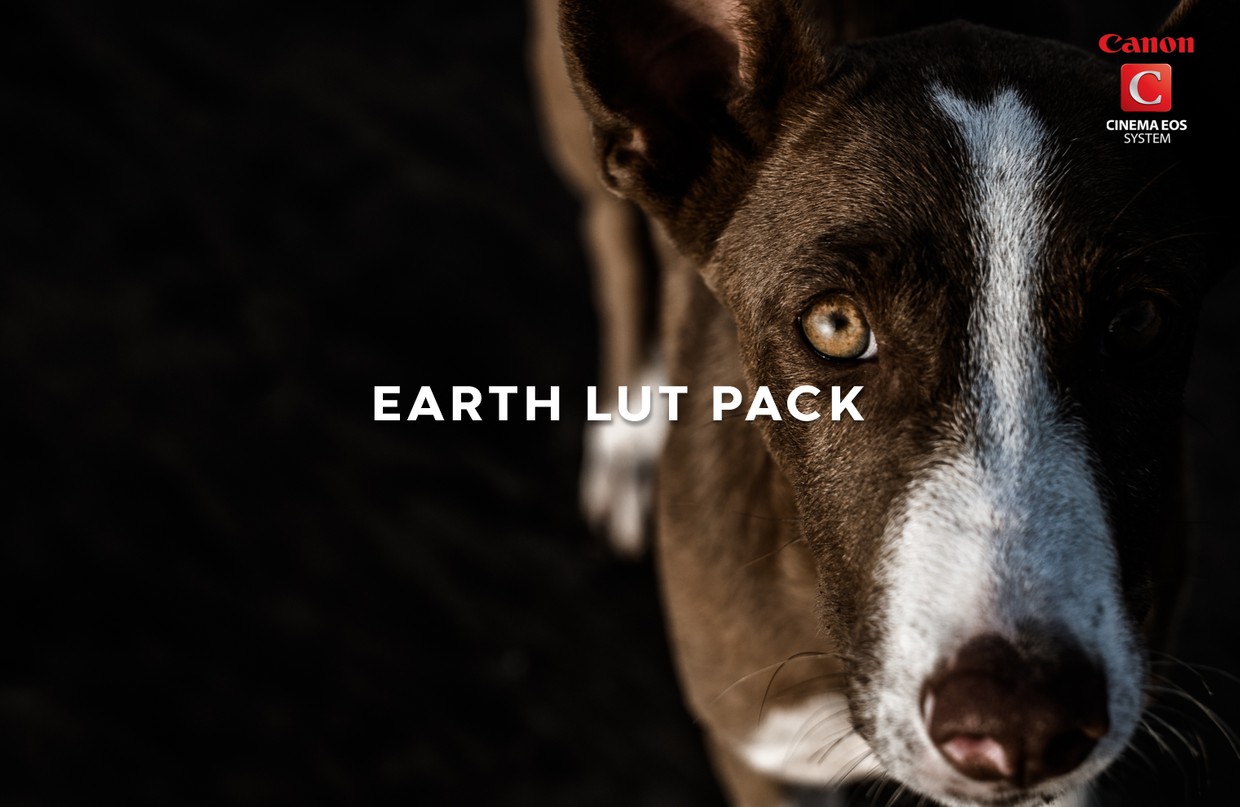 Earth LUT Pack for CANON CINEMA Cameras C70, C100 C2