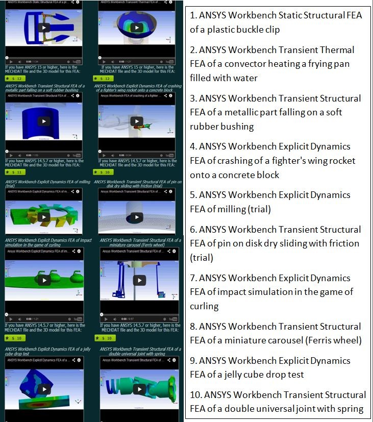 Solved FEA Package 1 Expertfea FEM BIO