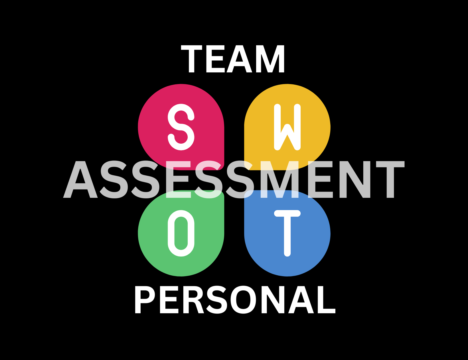 House of Paws Pet Pro