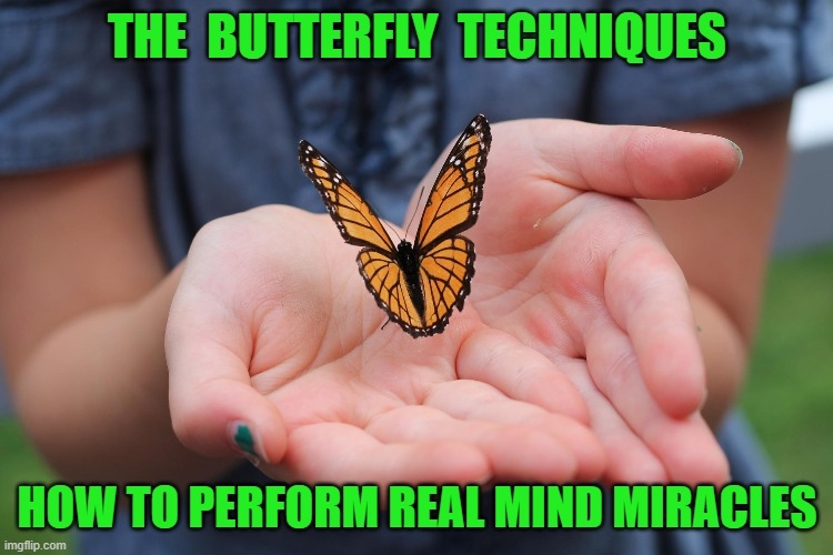 THE BUTTERFLY TECHNIQUES = HOW TO PERFORM REAL MIND MI JONATHAN ROYLE