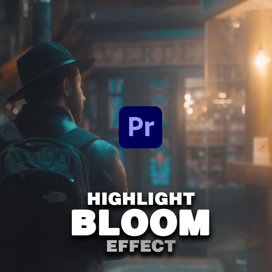 Premiere Preset Camilo Castaneda